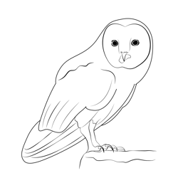 Great Horned Owl Free Coloring Page for Kids