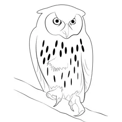 Laughing Owl Free Coloring Page for Kids
