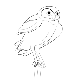 Owl 3 Free Coloring Page for Kids