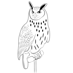 Owl 4 Free Coloring Page for Kids