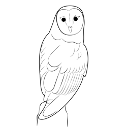 Owl 5 Free Coloring Page for Kids