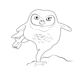 Owl Dance Free Coloring Page for Kids