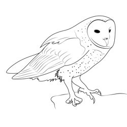 Owl Free Coloring Page for Kids