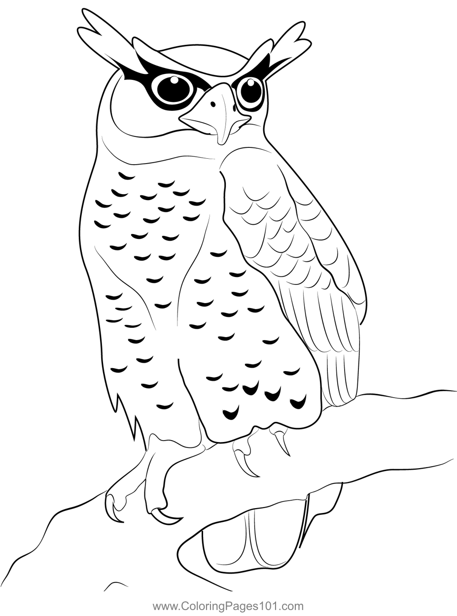Spot Bellied Eagle Owl