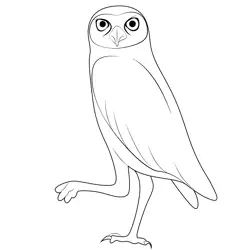 Walk Owl Bird Free Coloring Page for Kids