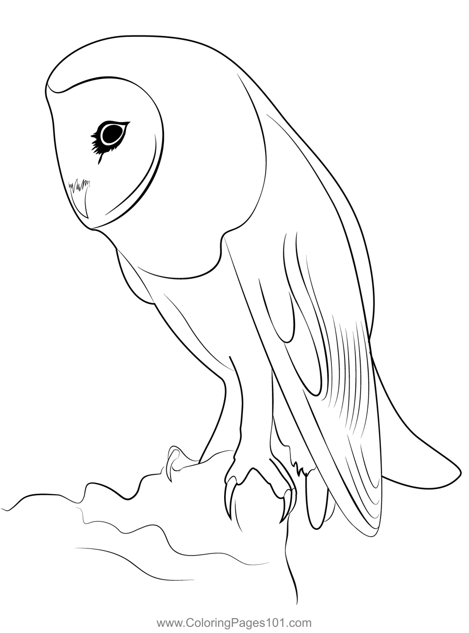 White Face Owl Coloring Page for Kids - Free Owls Printable Coloring ...