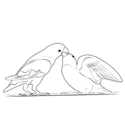 Baby Love Bird Being Fed Free Coloring Page for Kids