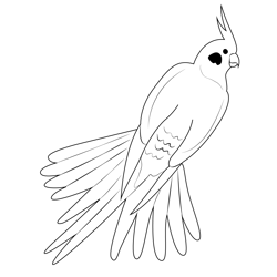 Beautiful Cockatiel Free Coloring Page for Kids