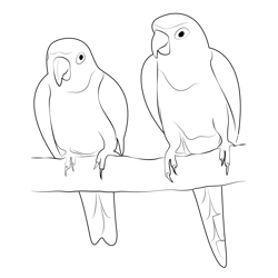 Beautiful Love Bird Free Coloring Page for Kids
