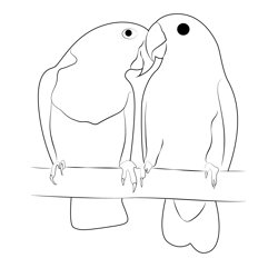 Beautiful Lovebird Free Coloring Page for Kids