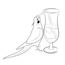 Bird Cockatiel Free Coloring Page for Kids