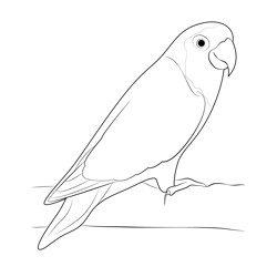 Bird Love Free Coloring Page for Kids