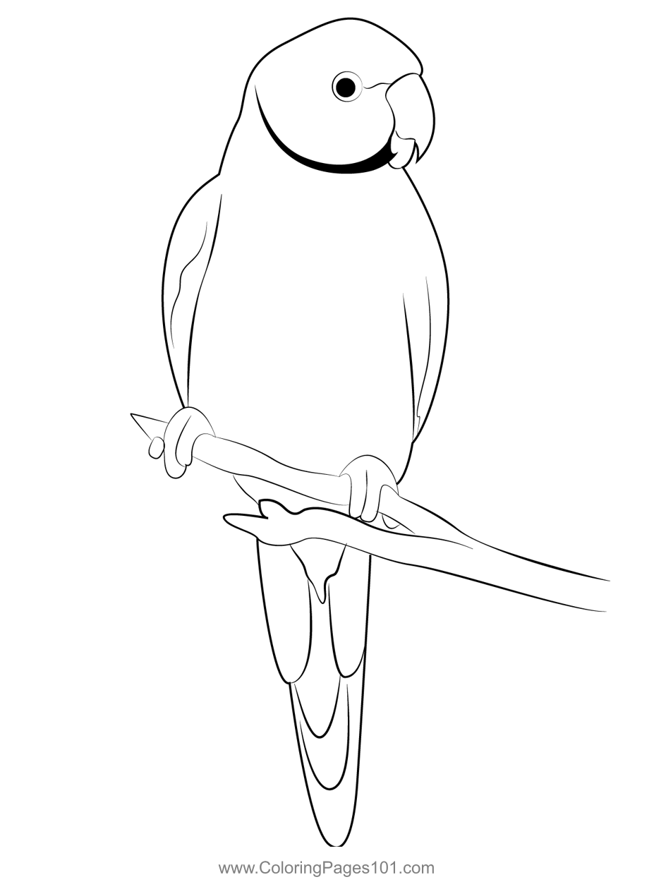 Blue Parrot Coloring Page for Kids - Free Parrots Printable Coloring