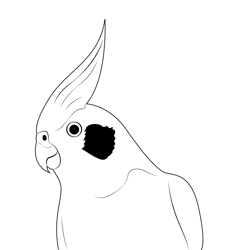 Cockatiel Head With Red Cheeks Free Coloring Page for Kids