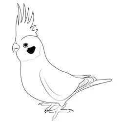 Cockatiel Free Coloring Page for Kids
