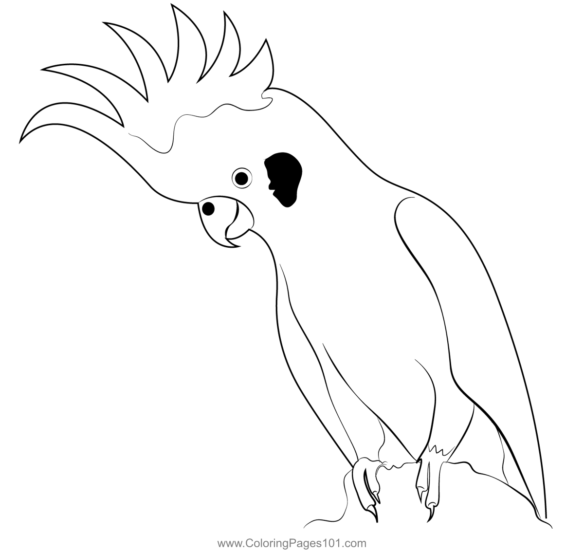 Cockatoo Cage Coloring Page for Kids - Free Parrots Printable Coloring ...