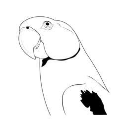 Cute Colourful Parrot Free Coloring Page for Kids
