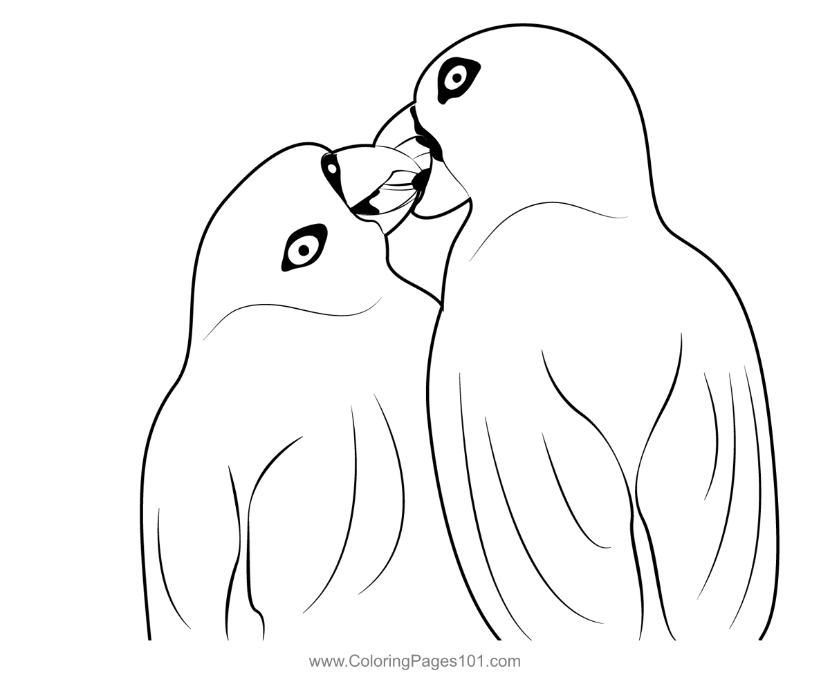 Cute Love Birds