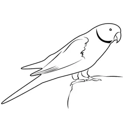 Green Parrot Sitting Free Coloring Page for Kids