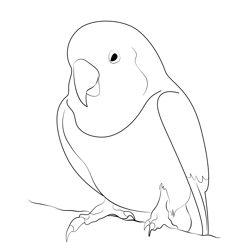 Little Love Bird Free Coloring Page for Kids