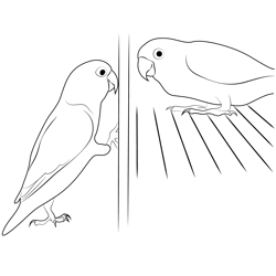 Love Bird 1 Free Coloring Page for Kids