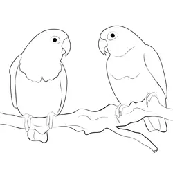 Love Bird Very Cute Free Coloring Page for Kids