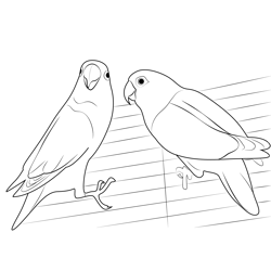Love Bird Free Coloring Page for Kids