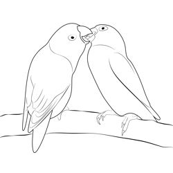Love Birds 1 Free Coloring Page for Kids
