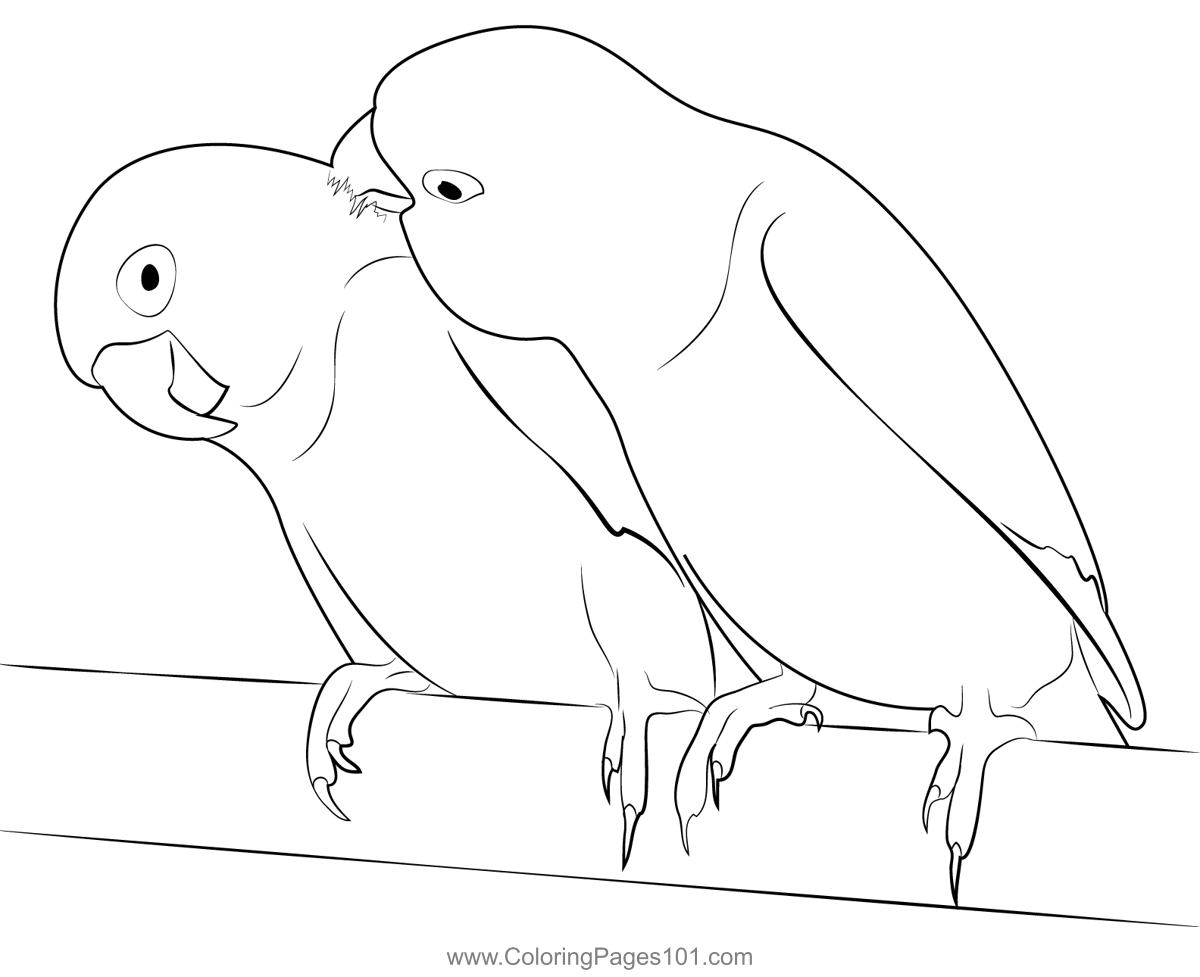 Love Birds 4 Coloring Page for Kids - Free Parrots Printable Coloring ...