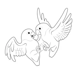 Love Birds 6 Free Coloring Page for Kids