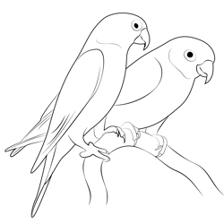 Love Birds 7 Free Coloring Page for Kids