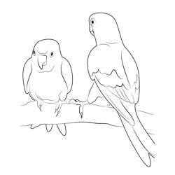Love Birds 9 Free Coloring Page for Kids