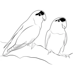 Love Birds Cute Free Coloring Page for Kids