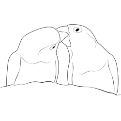 Love Birds Kissing Free Coloring Page for Kids
