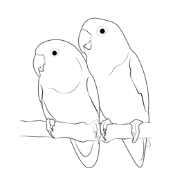 Love Birds Perched On A Branch Free Coloring Page for Kids