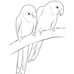Love Birds Free Coloring Page for Kids