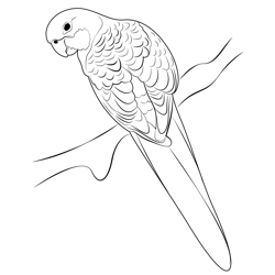 Most Beautiful Love Birds Free Coloring Page for Kids