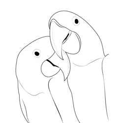 Nice Love Birds Free Coloring Page for Kids