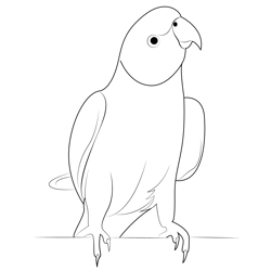 Norwegian Blue Parrot Free Coloring Page for Kids