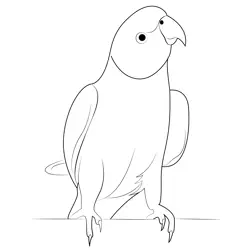 Norwegian Blue Parrot Free Coloring Page for Kids