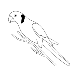 Parrot 4 Free Coloring Page for Kids