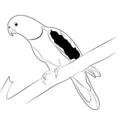 Red Wing Parrot On Tree Free Coloring Page for Kids