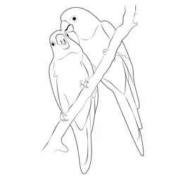 Yellow Love Birds Free Coloring Page for Kids
