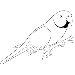 Yellow Parrot Free Coloring Page for Kids
