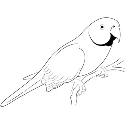 Yellow Parrot Free Coloring Page for Kids