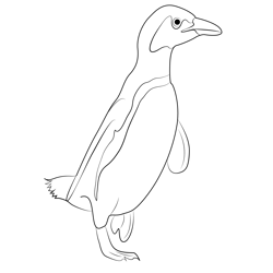 African Penguin Free Coloring Page for Kids