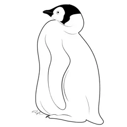 Baby Emperor Penguin Free Coloring Page for Kids