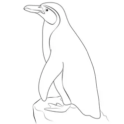 Cute Penguins Free Coloring Page for Kids