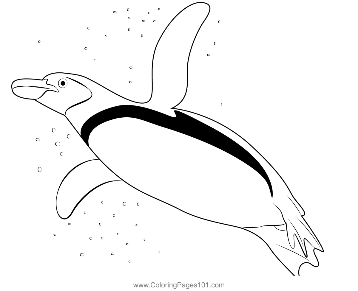 Gentoo Penguin Swimming