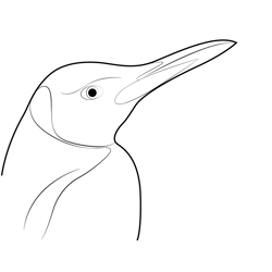 King Penguin Portrait Free Coloring Page for Kids